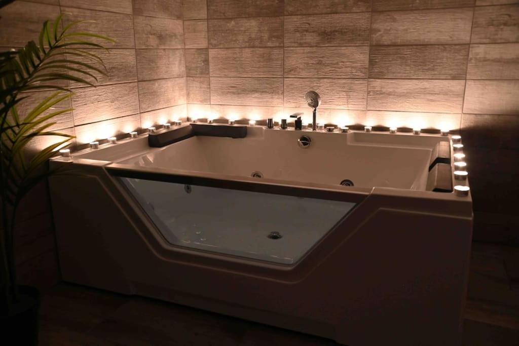 Superbe Appartement Avec Balneo. Saint-Cyprien  Eksteriør bilde
